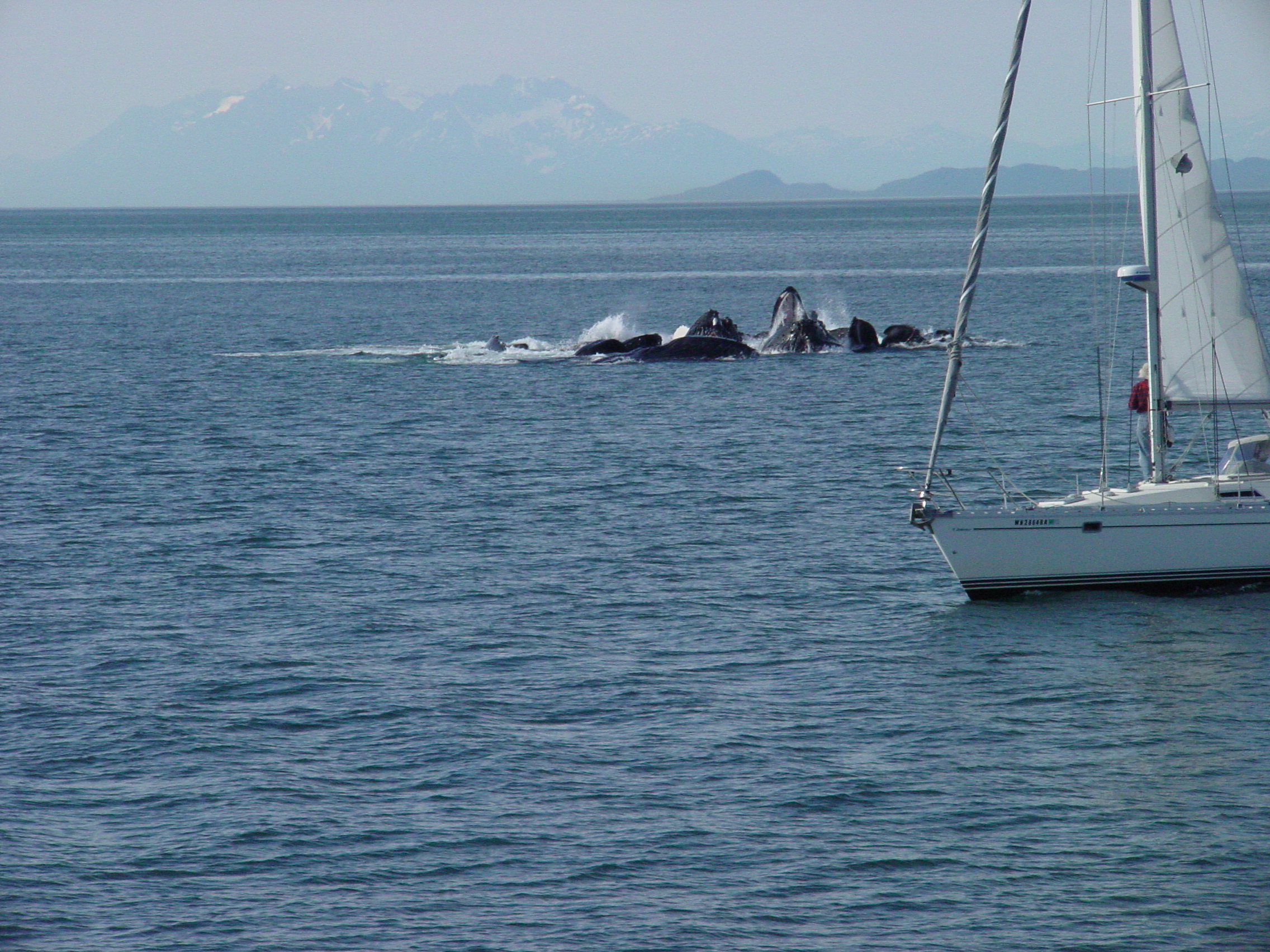 A75-Alaska_016.jpg