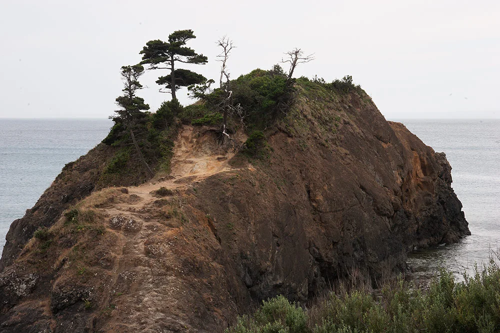 A80_Pacific_Coast_2006-Humbug_Mountain_C20_4032-052.jpg