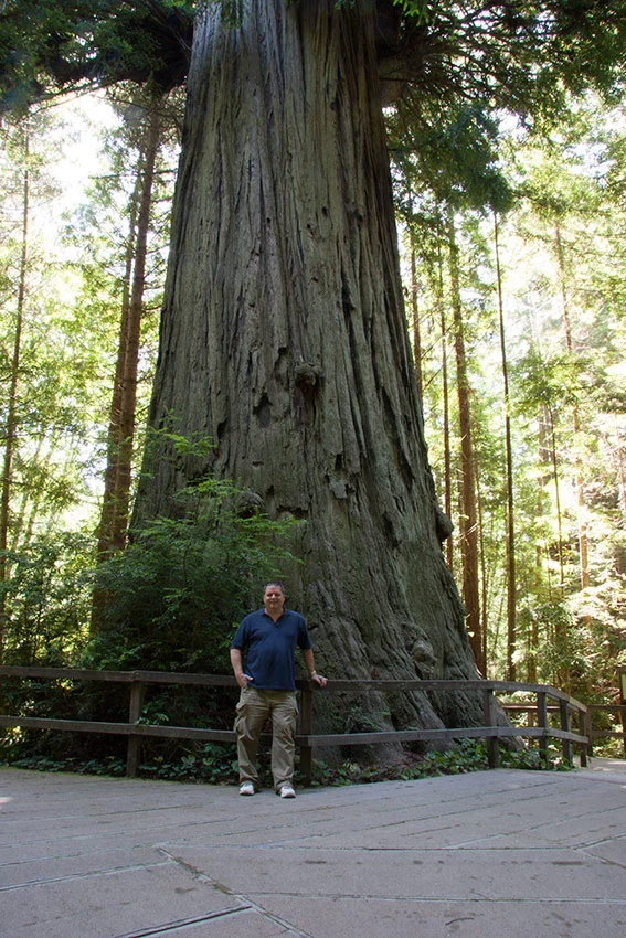 A80_Pacific_Coast_2006-Jedediah_Smith_C20_3613-056.jpg