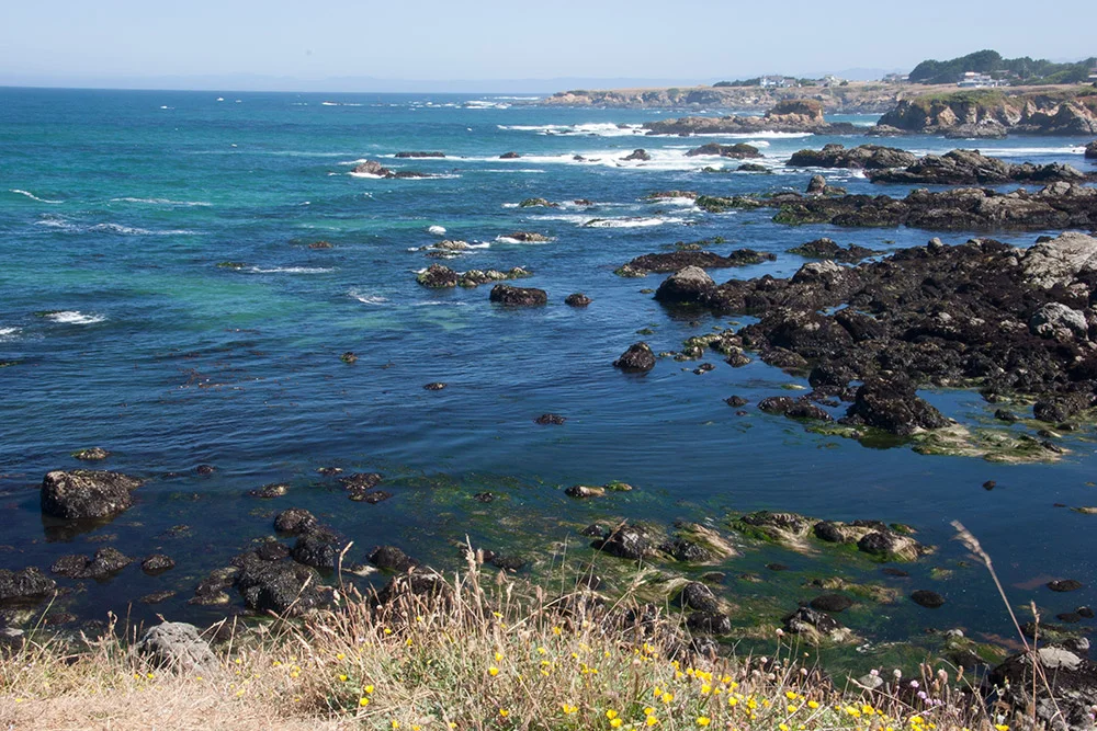 A80_Pacific_Coast_2006-Mendocino_C20_3301-108.jpg