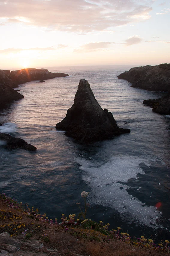 A80_Pacific_Coast_2006-Mendocino_C20_3340-115.jpg