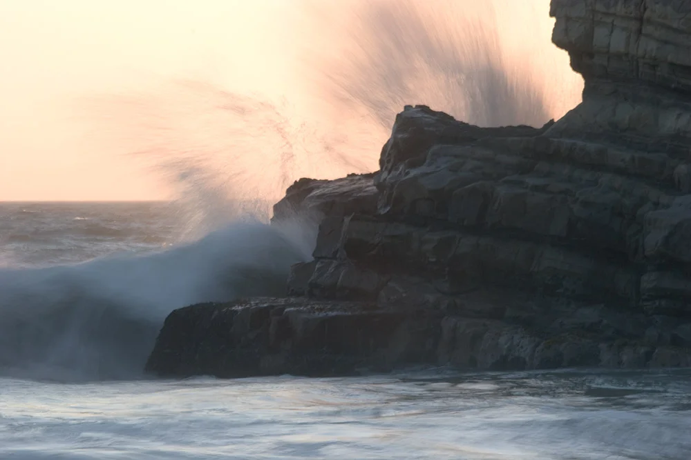 A80_Pacific_Coast_2006-Salt_Point_C20_3036-197.jpg