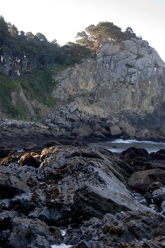 A80_Pacific_Coast_2006-Salt_Point_C20_3048-199.jpg