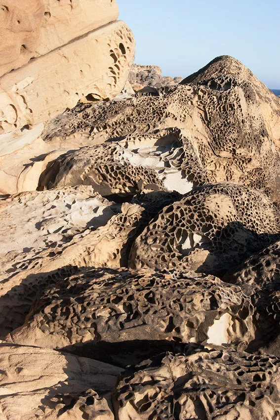 A80_Pacific_Coast_2006-Salt_Point_C20_3093-207.jpg