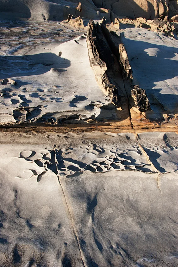 A80_Pacific_Coast_2006-Salt_Point_C20_3099-209.jpg