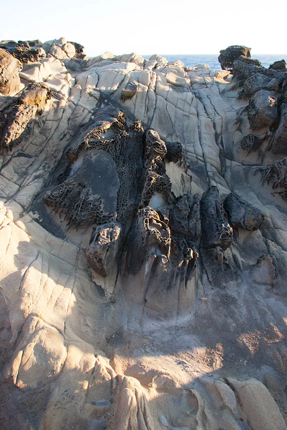 A80_Pacific_Coast_2006-Salt_Point_C20_3118-214.jpg