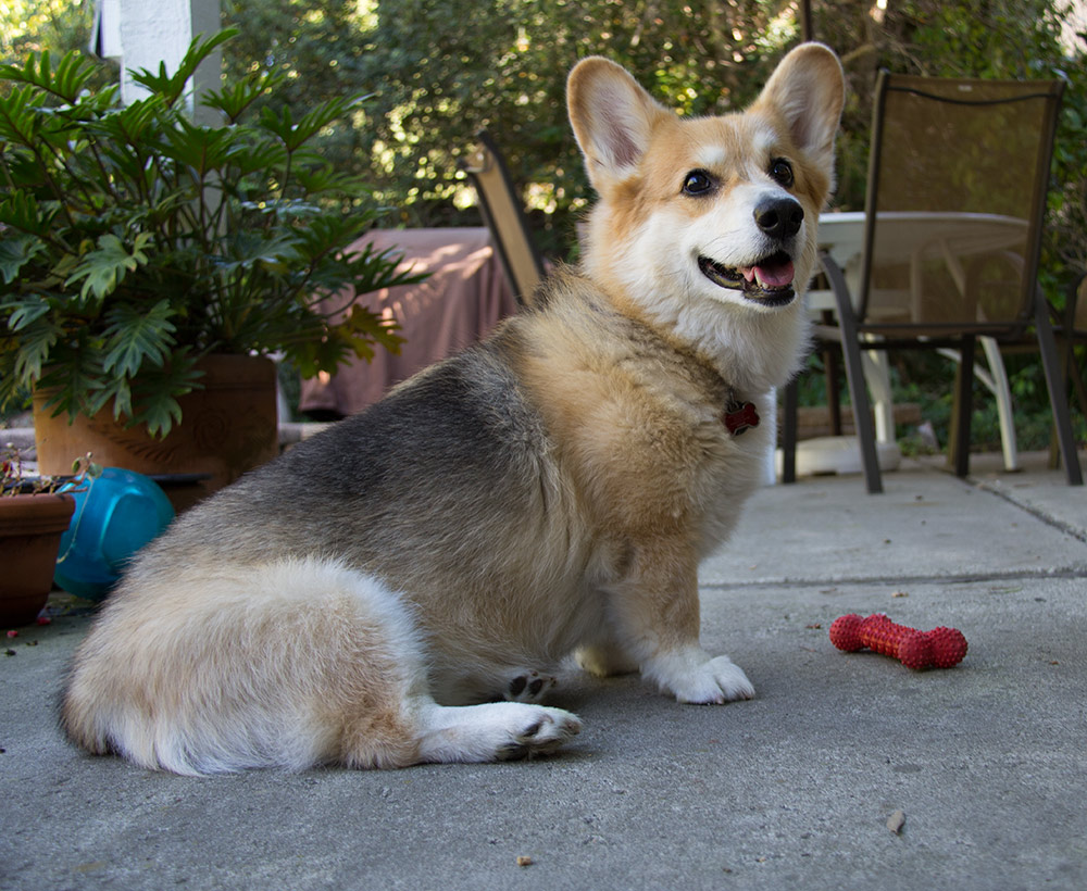 C60_0059.jpg