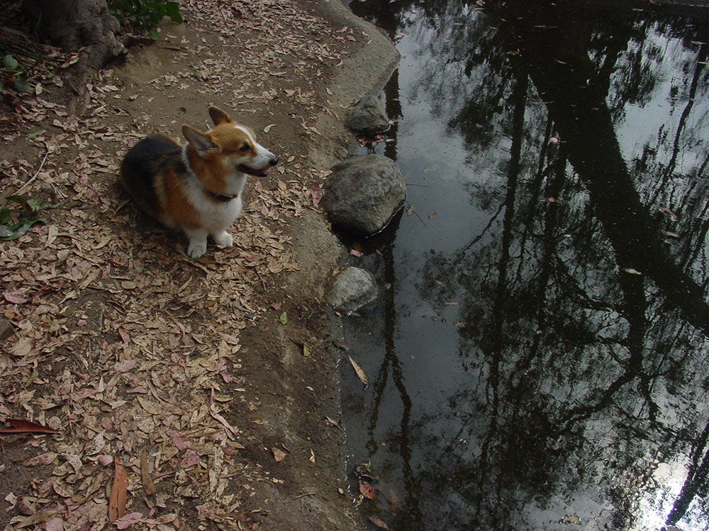 DSC02098.jpg