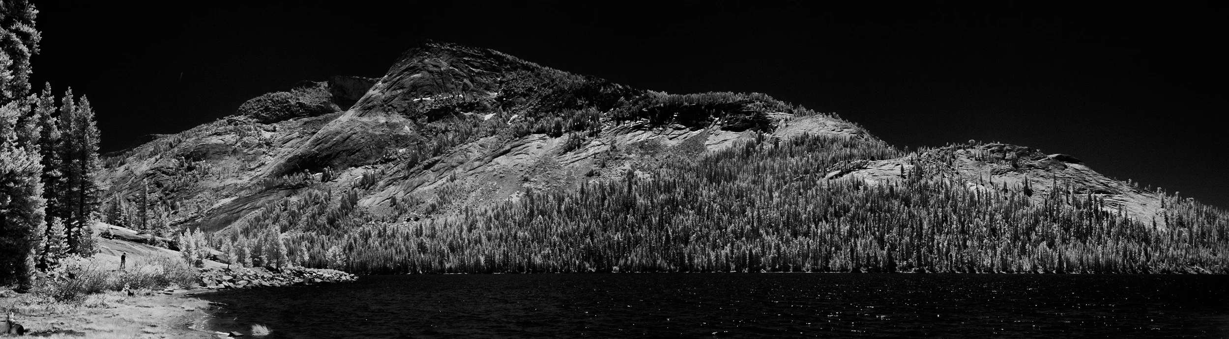 D20_4883.jpg