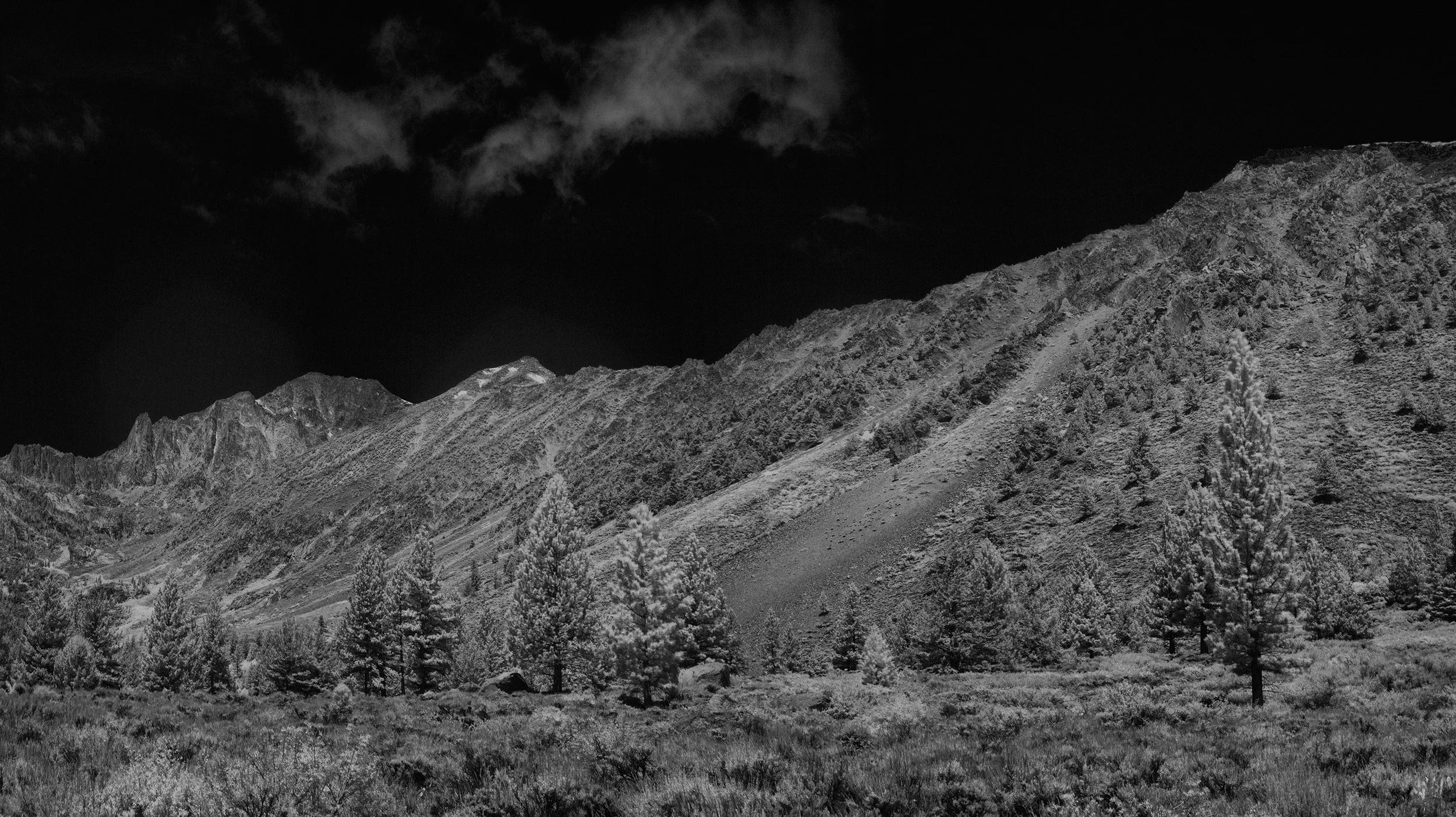 D20_4953.jpg