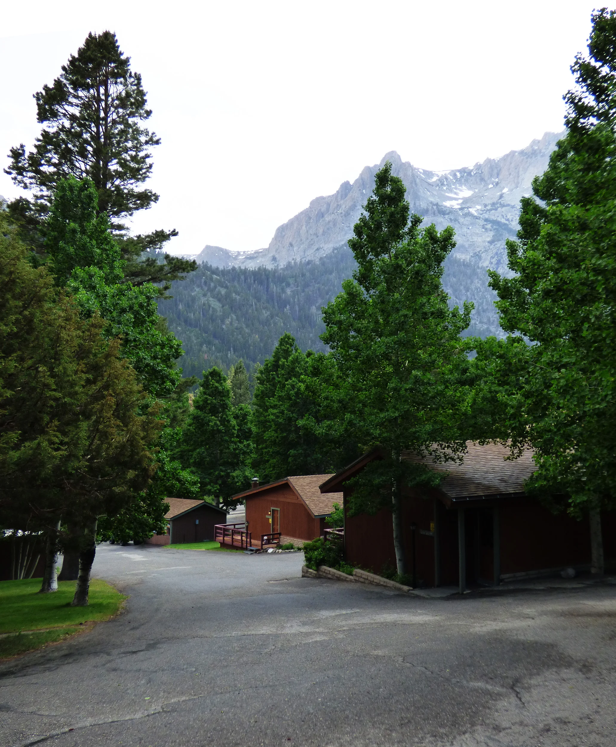 LMX_1028.jpg