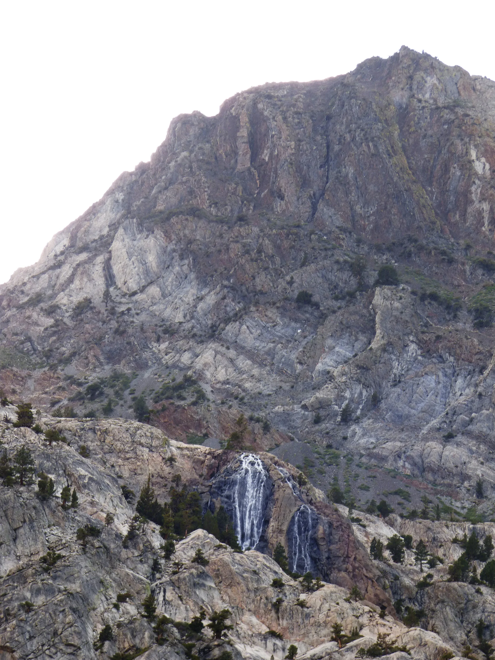 LMX_1034.jpg