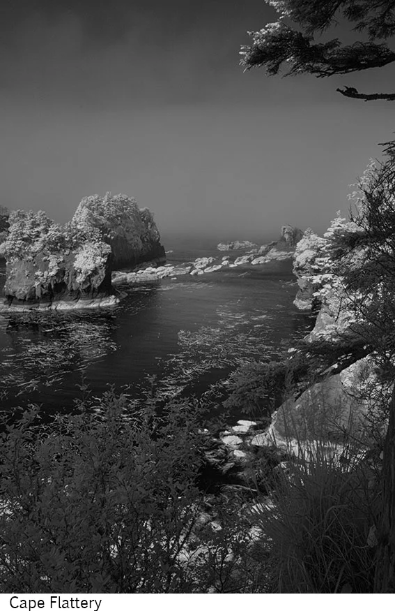 Cape_Flattery_C20_080608_21 copy.jpg