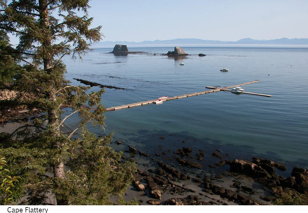 Cape_Flattery_C40_080608_03 copy.jpg