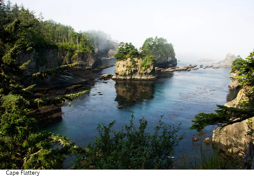 Cape_Flattery_C40_080608_06 copy.jpg