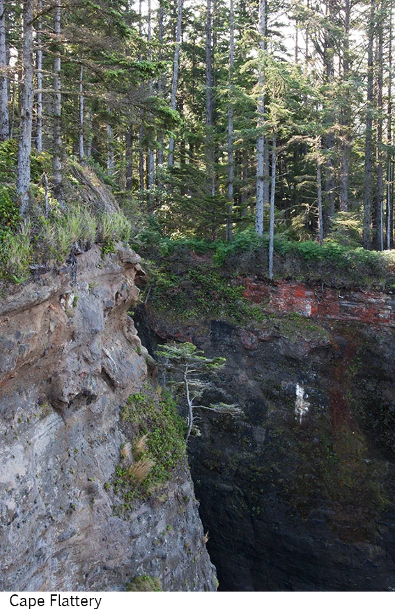 Cape_Flattery_C40_080608_20 copy.jpg