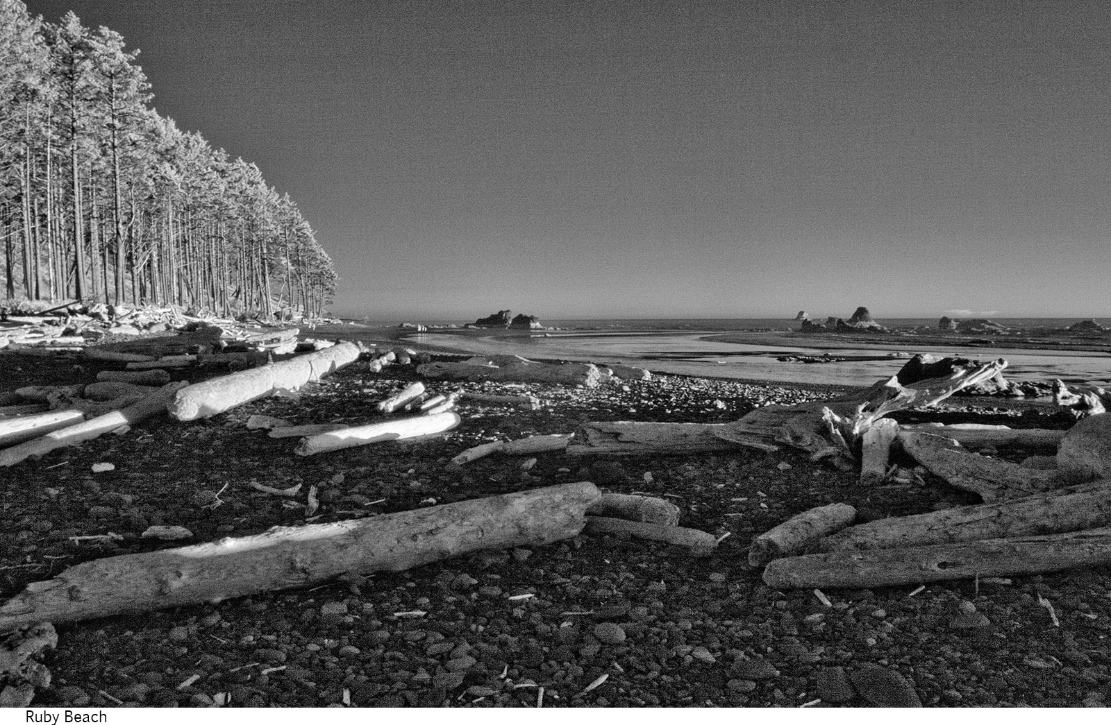 Ruby_Beach_C20_080408_06 copy.jpg