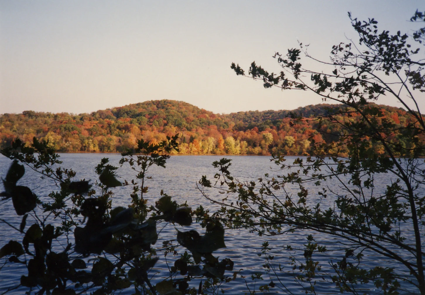 118 fall in Tenn.jpg
