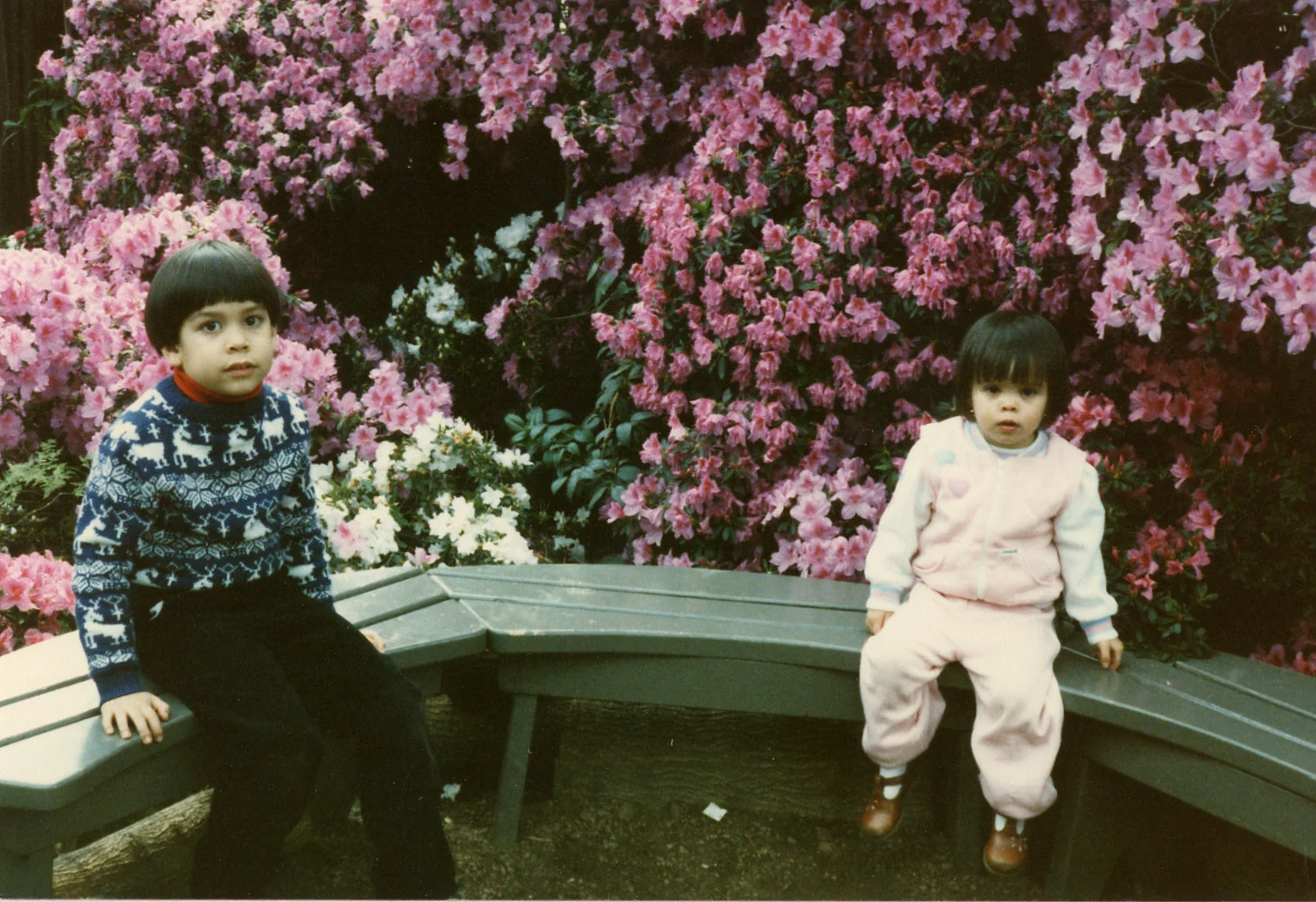 253 w Brandon on bench 1986.jpg