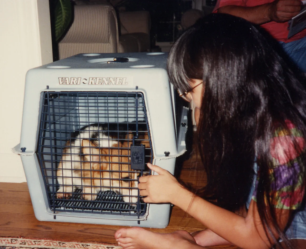 405 w Manny as puppy in wire cage.jpg