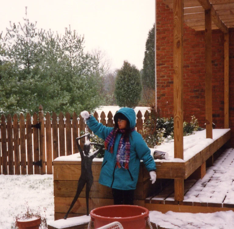 436 snow scene Chkrng Wds deck.jpg