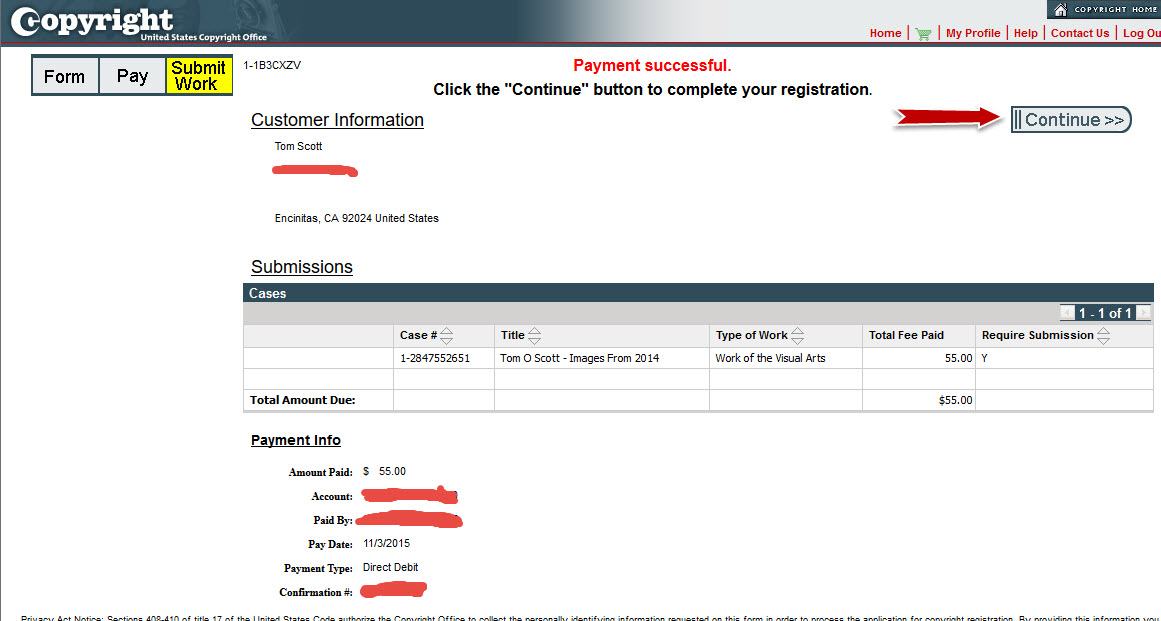 Do the final review and click on Continue. You can use credit cards or checking accounts to process the payment.