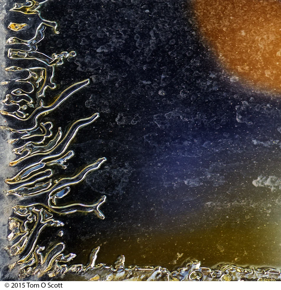 Reaching-for-the-Sun_C60_013.jpg