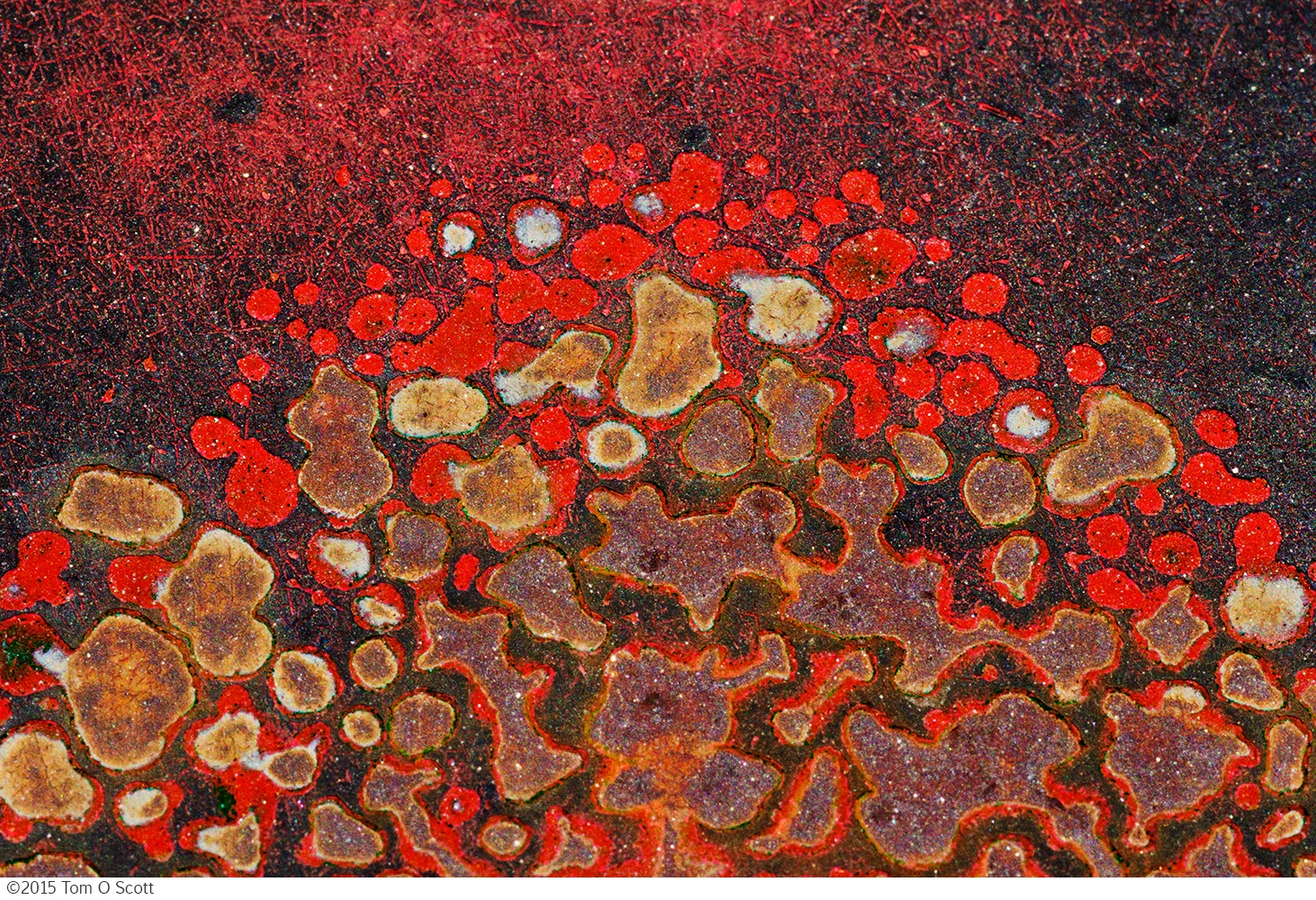 Amoeba_Mountain_C60_1605.jpg