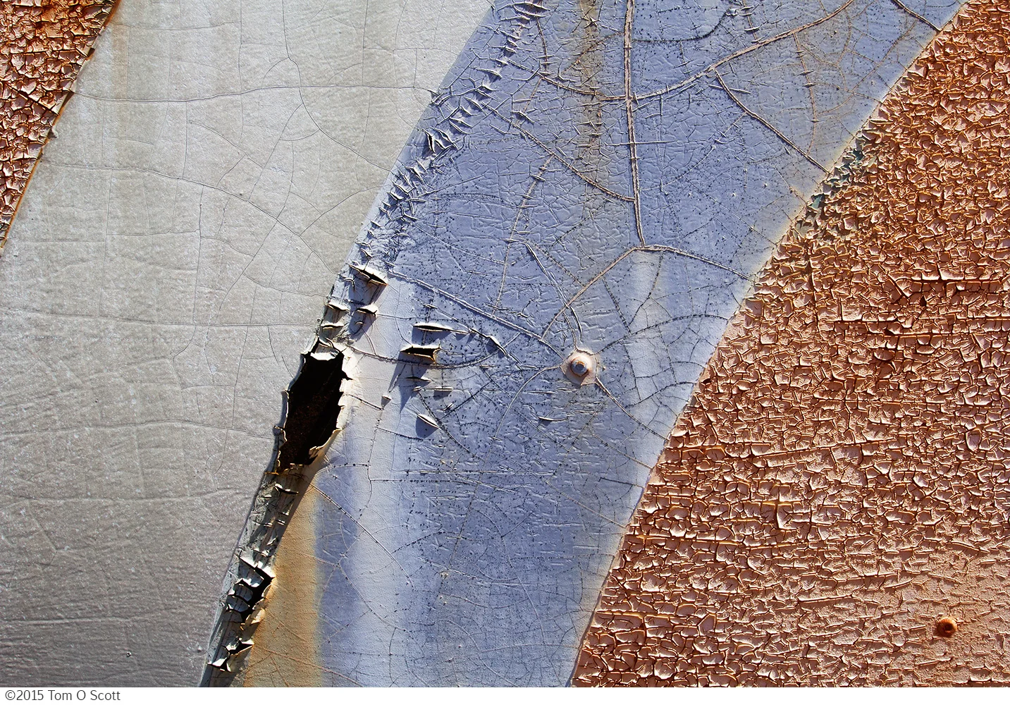 Concentric_Entropy_C60_1490.jpg