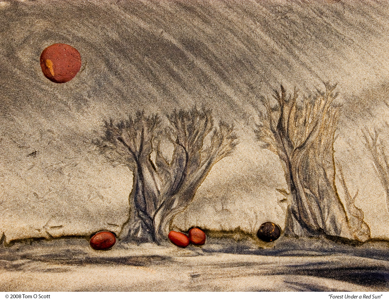 Forest Under a Red Sun