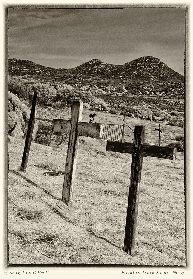 I didn't get a chance to ask Freddy who was buried here.
