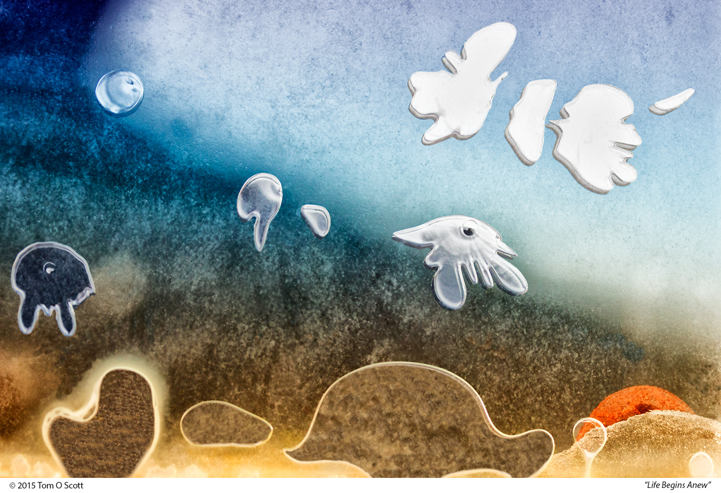 Life Begins Anew