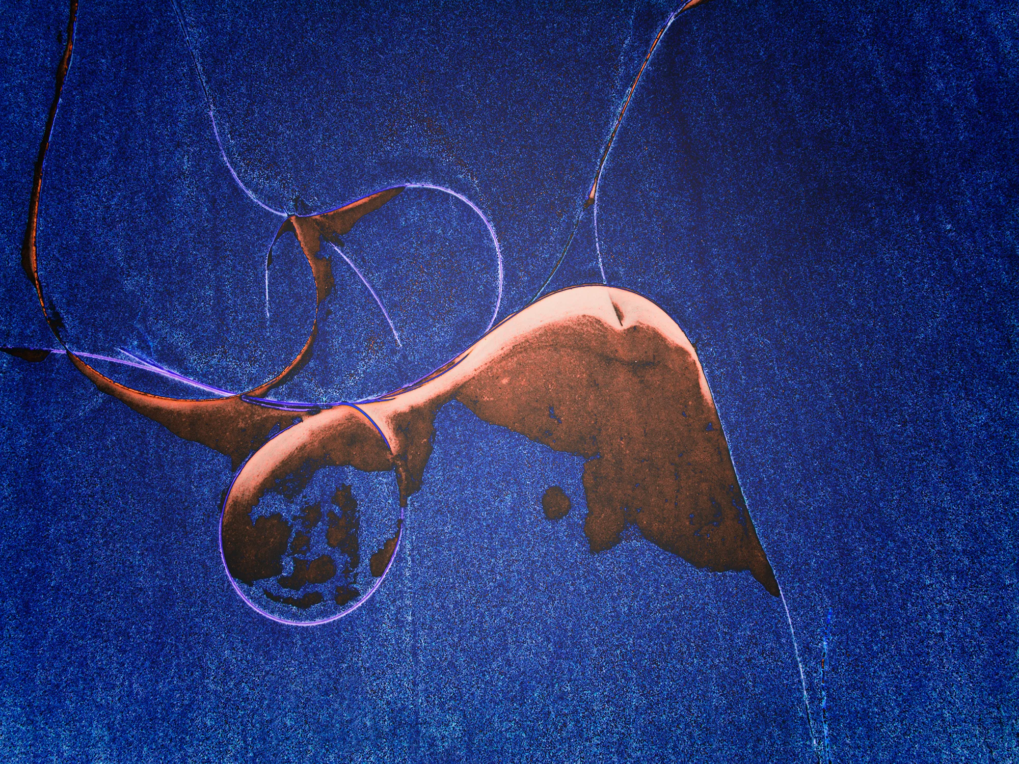 Wave_Remnants_No_1_C20_4699.jpg