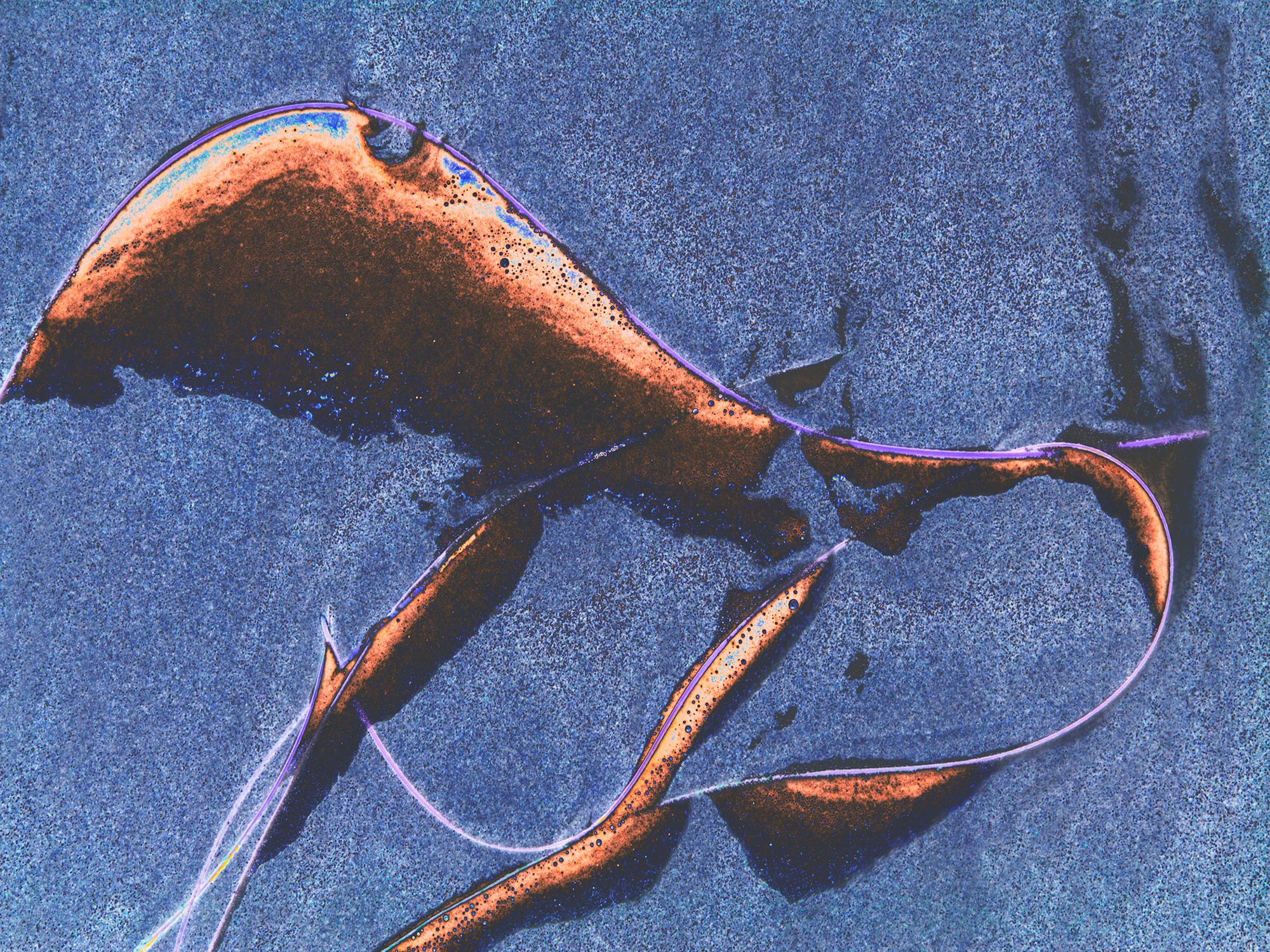 Wave_Remnants_No_4_C20_4703.jpg