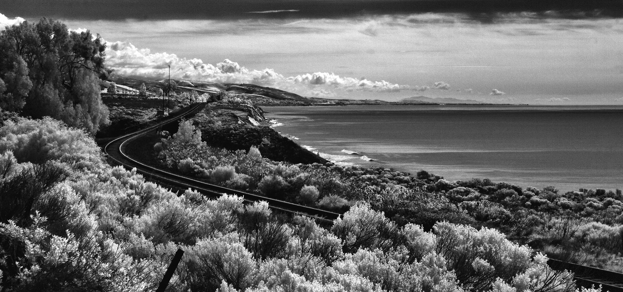 Tracks_by_the_Sea_C20_5073.jpg
