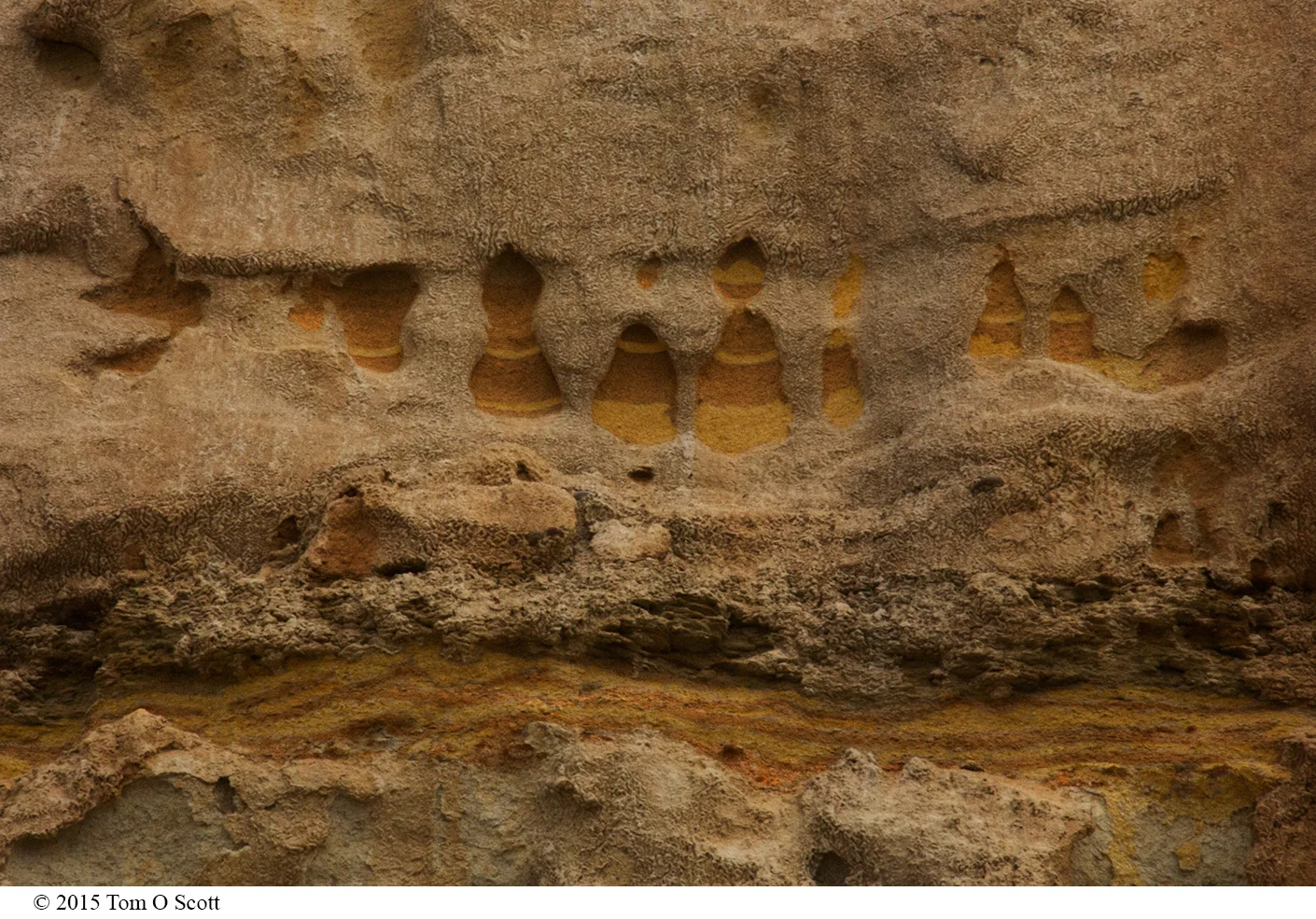 Footprints_C60_1050.jpg
