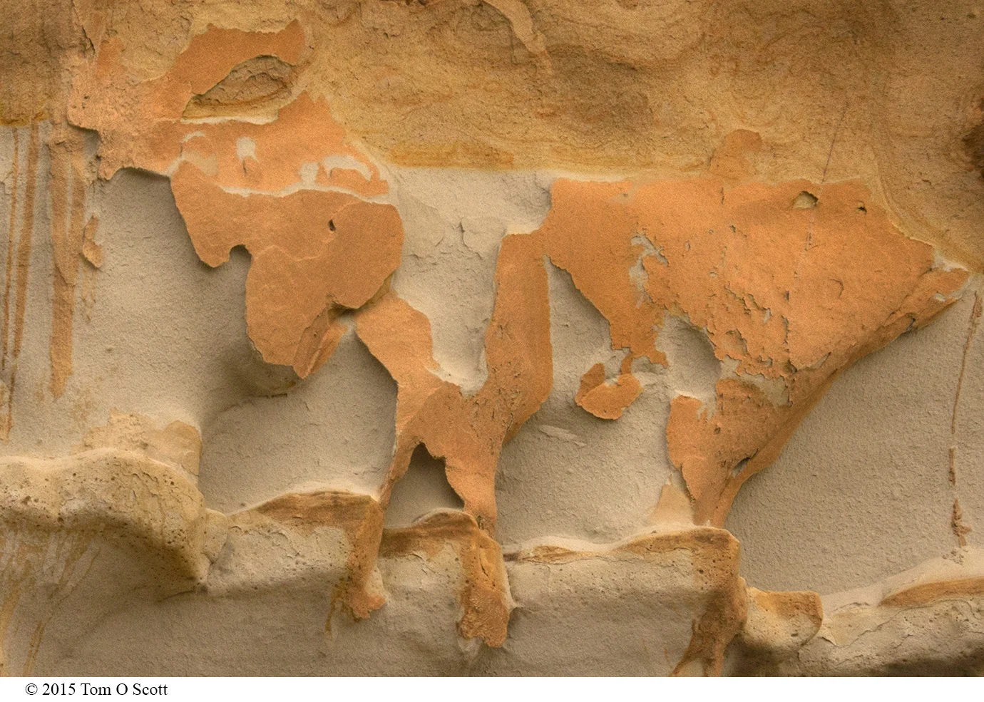 Map_of_the_World_C60_1071.jpg