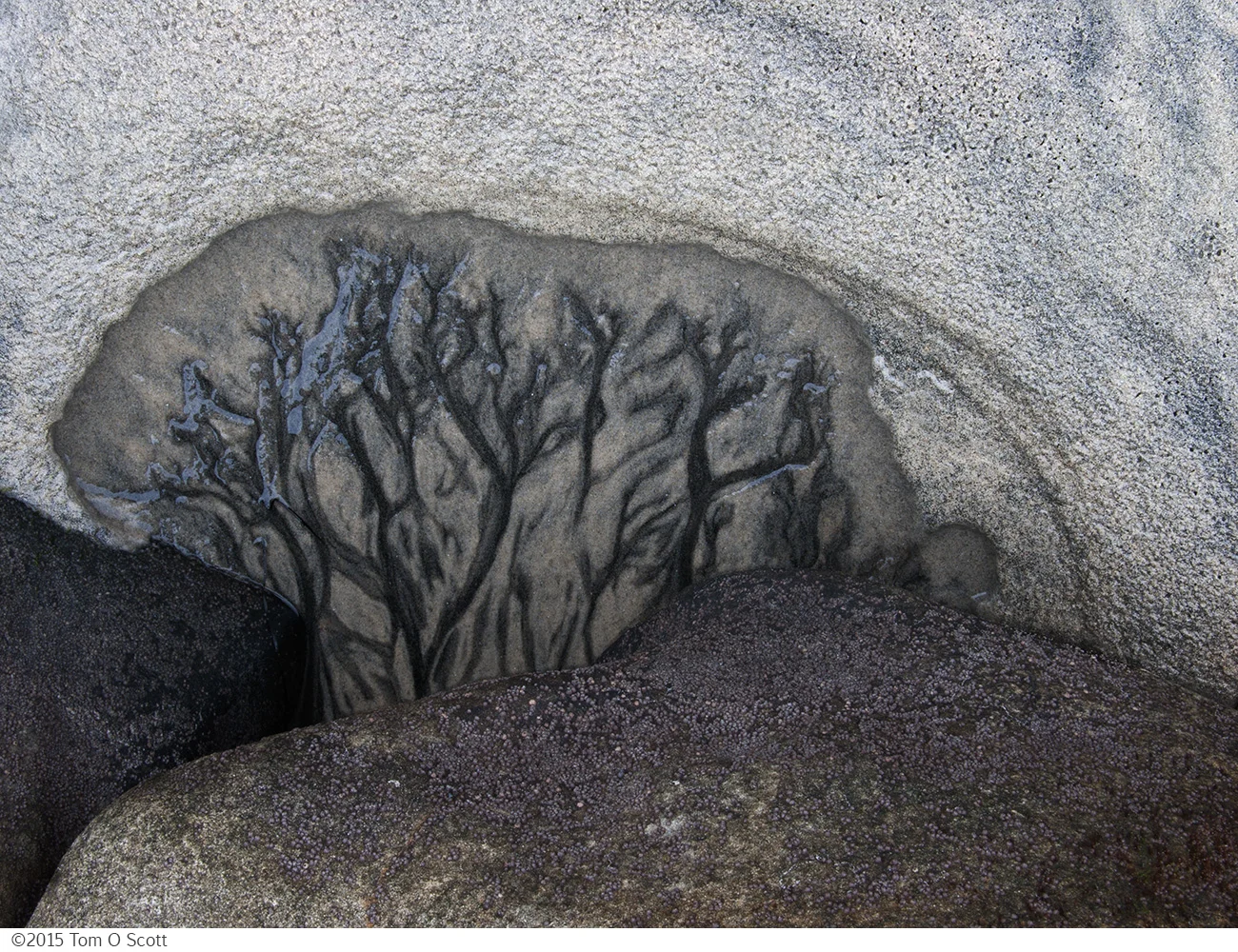 Grotto_at_Sunrise_C20_2430.jpg