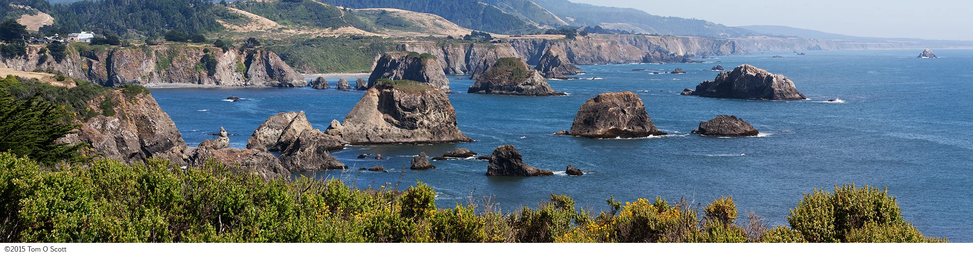 Coastline_North_of_Salt_Point_C20_3083.jpg