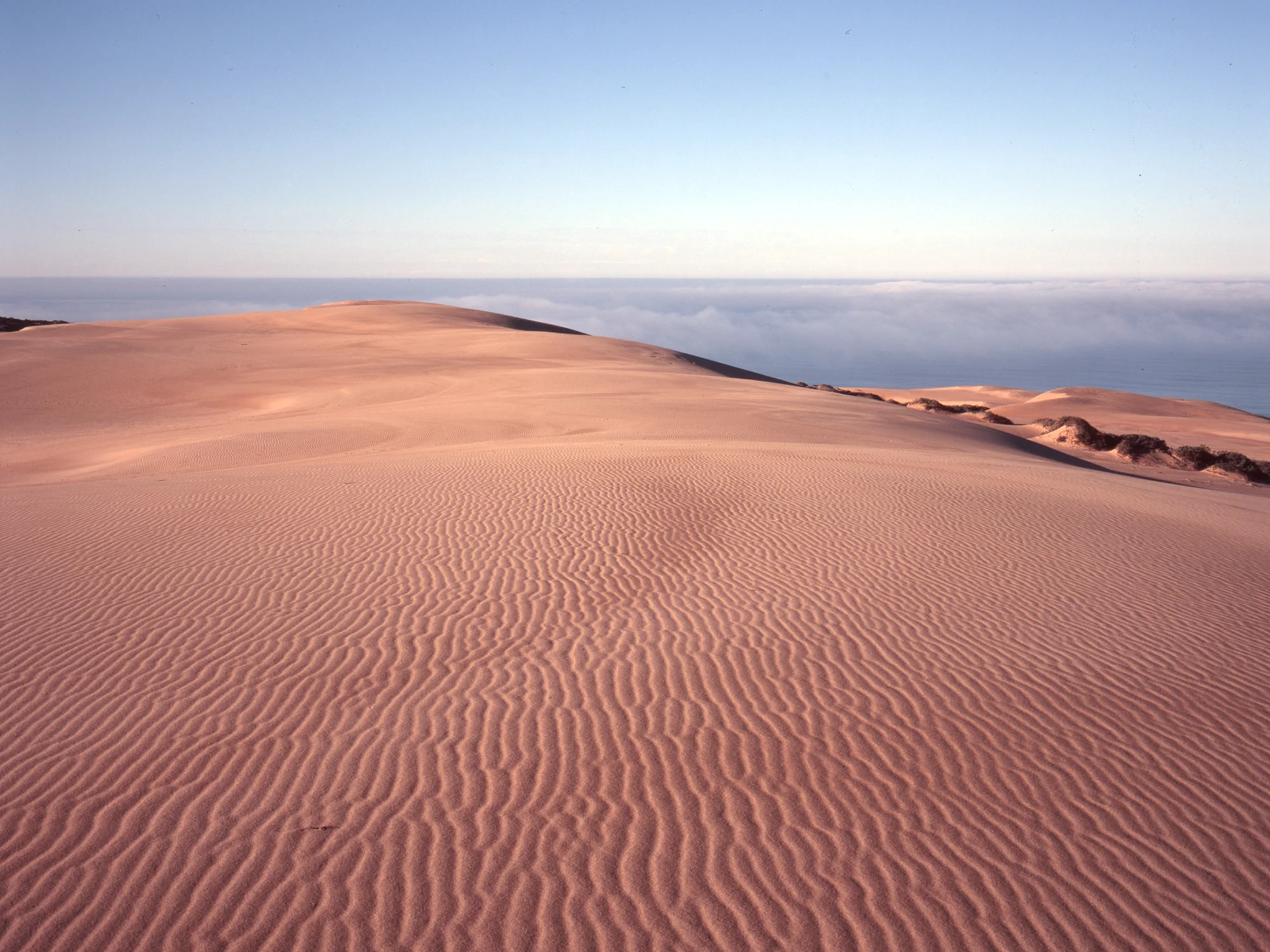Guadalupe_Dunes_MA1133-02.jpg