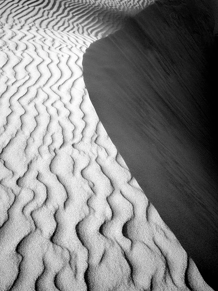 Shadow's_Edge_MA_0952.jpg