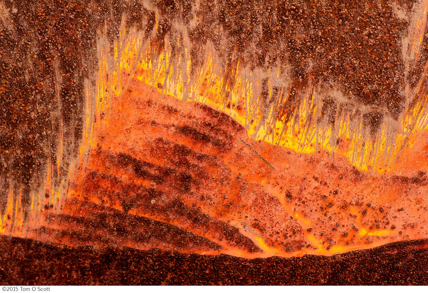 Forest_Fire-150522_C60_025.jpg