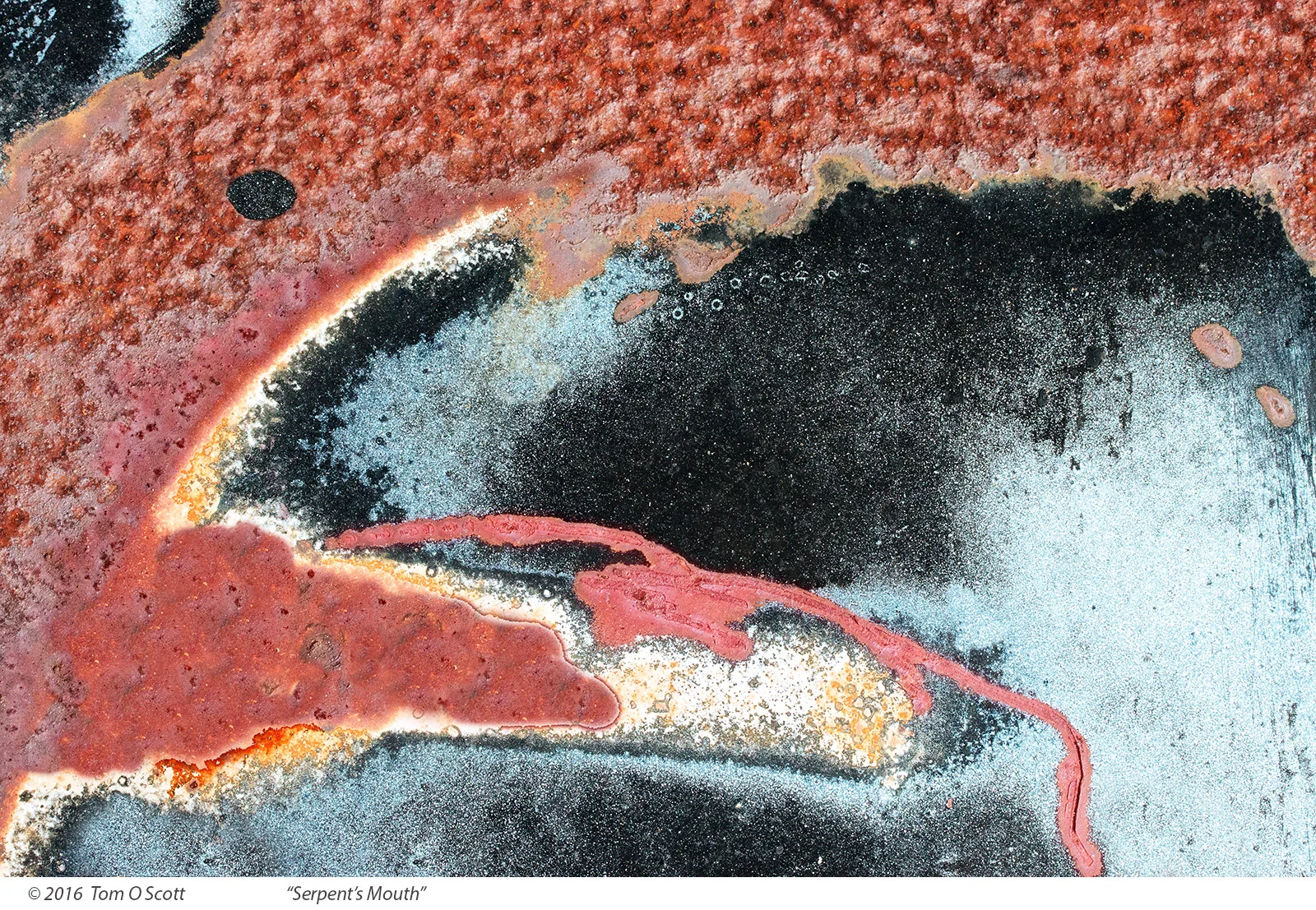Serpents-Mouth_C70_169.jpg