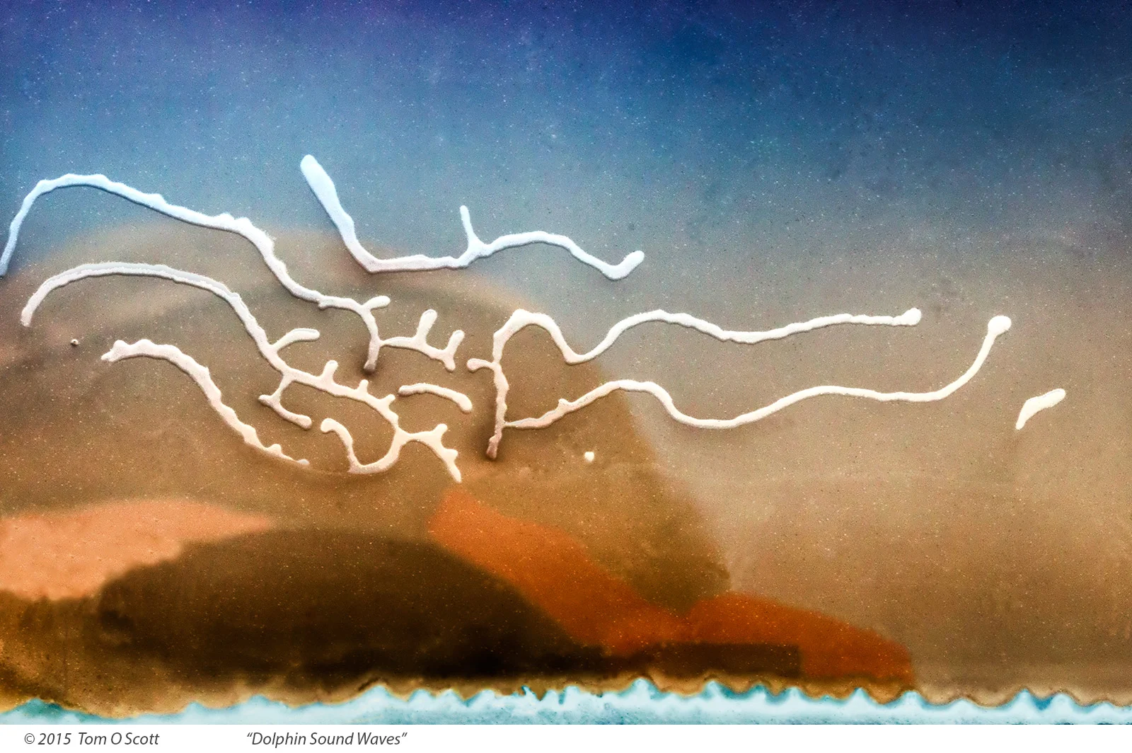 Dolphin Sound Waves