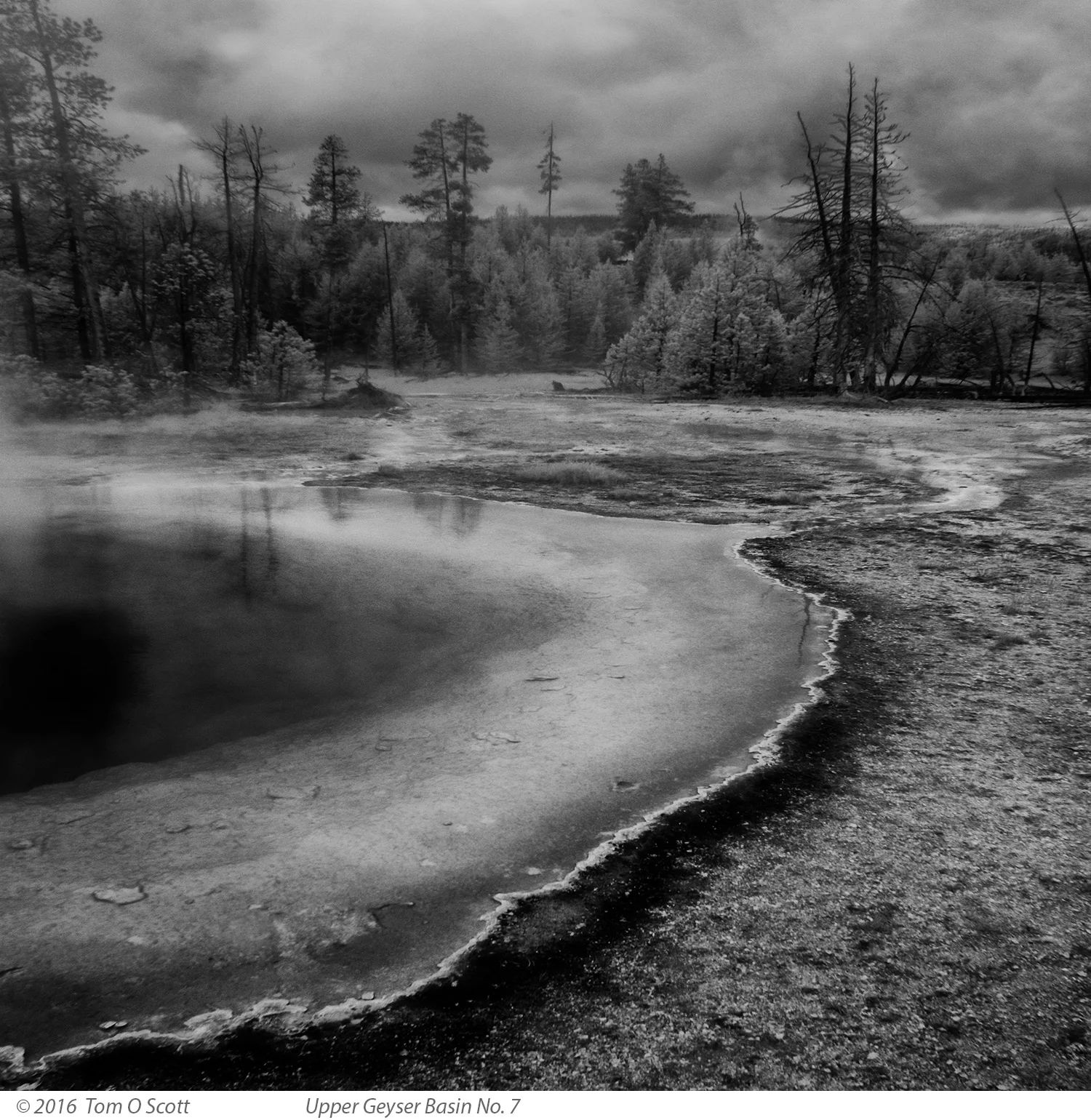 Upper Geyser Basin No. 7