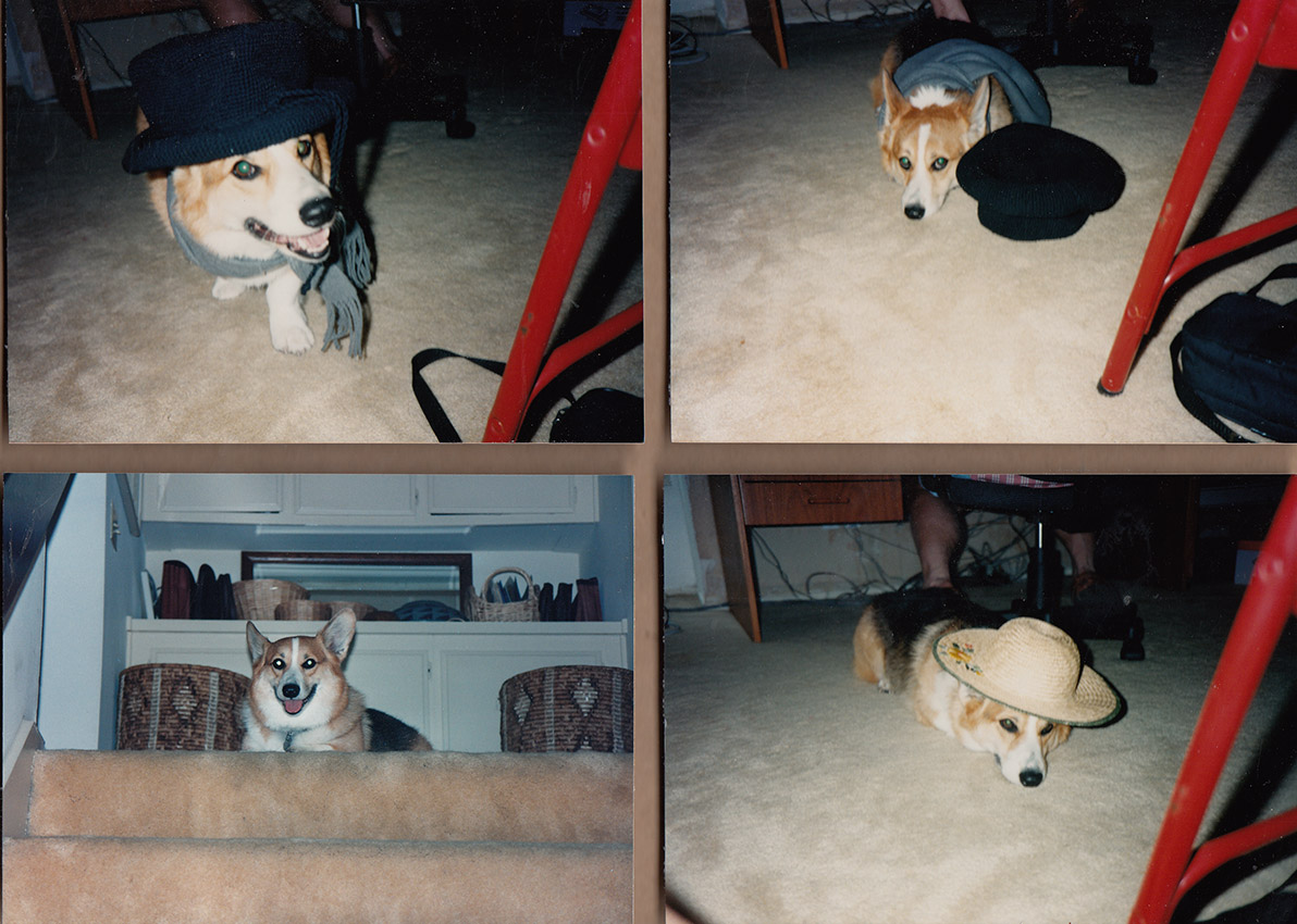 A800-Manny-01.jpg
