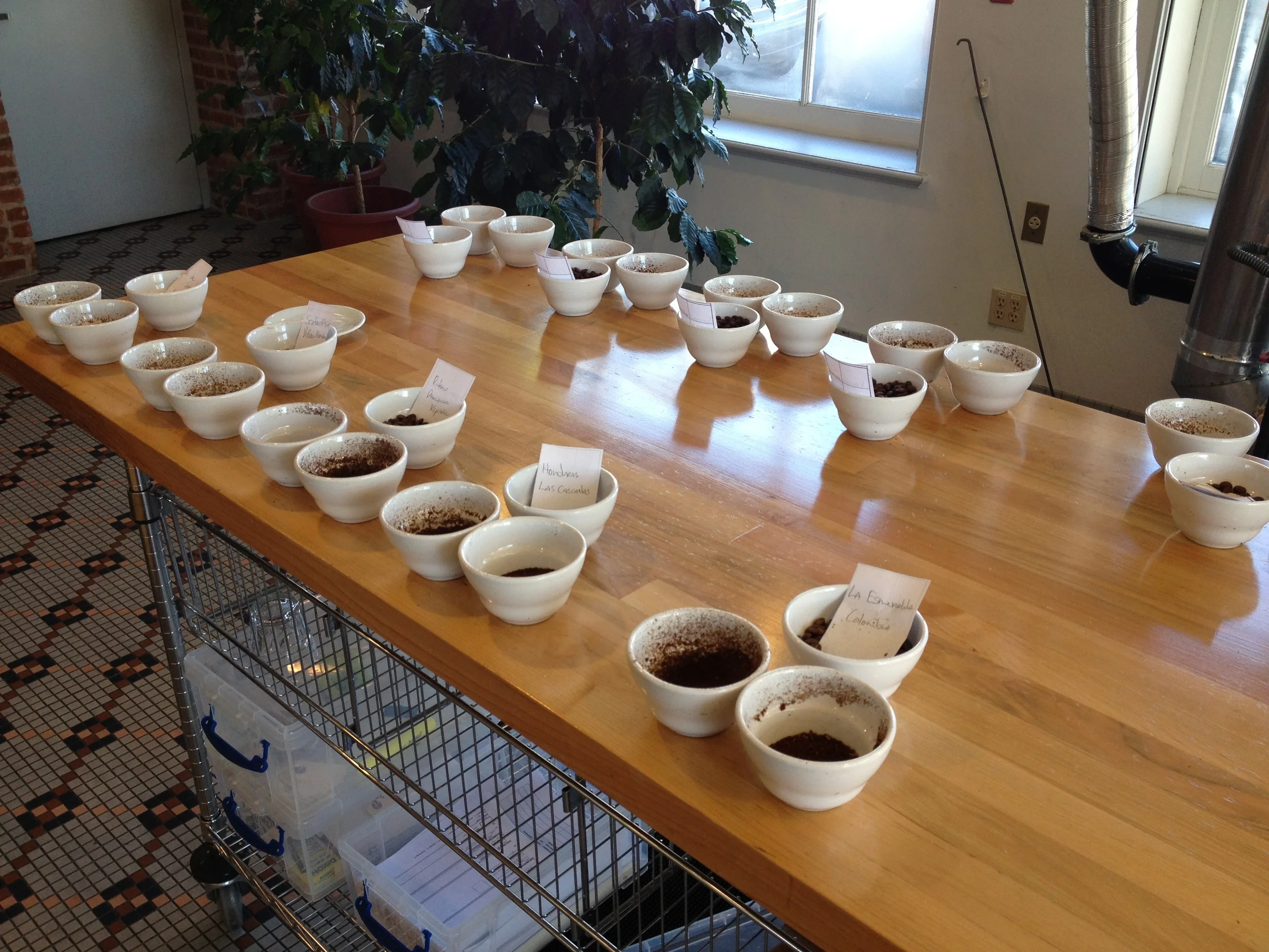 Dallis Office Coffee: Fall 2012 Cupping