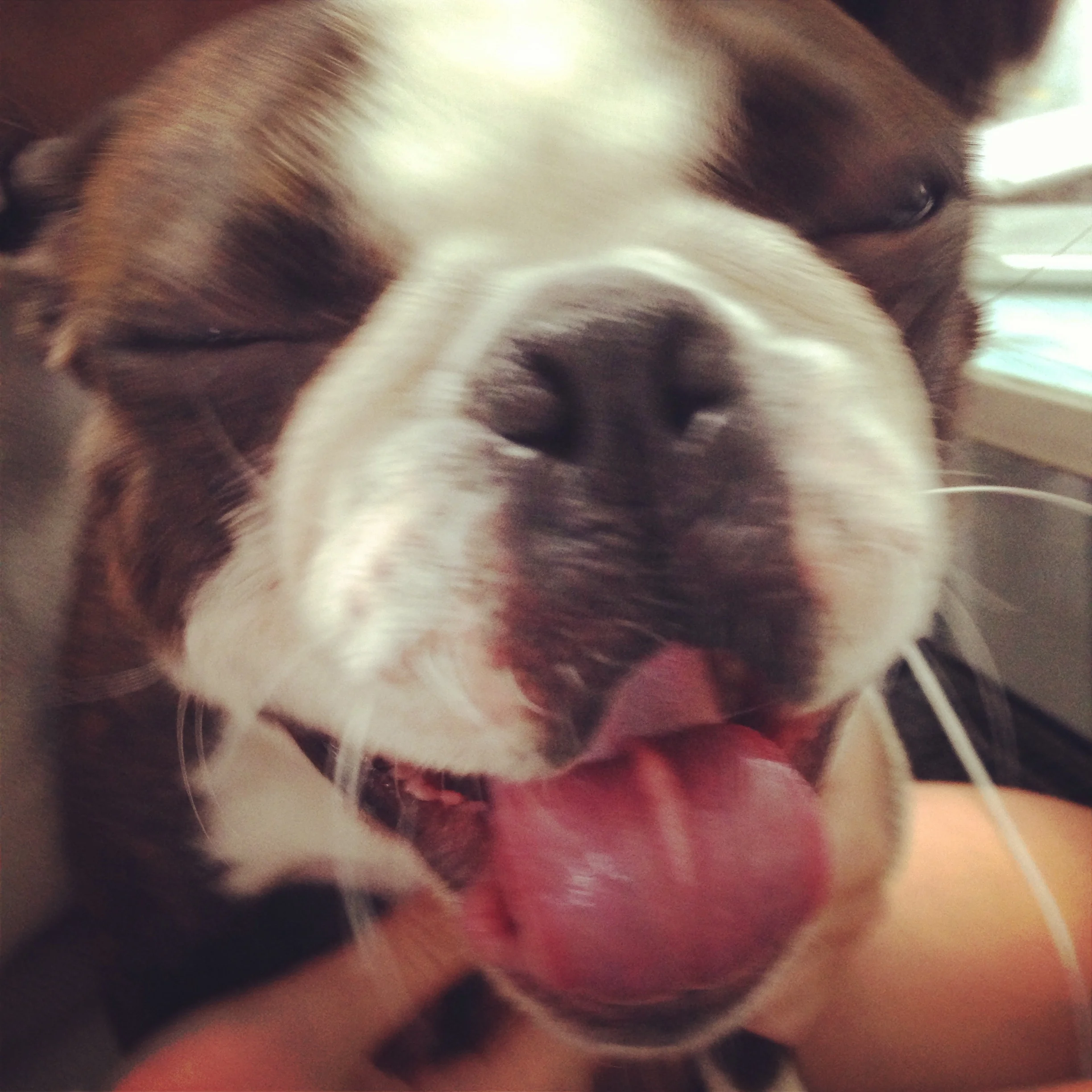 Morning Productivity