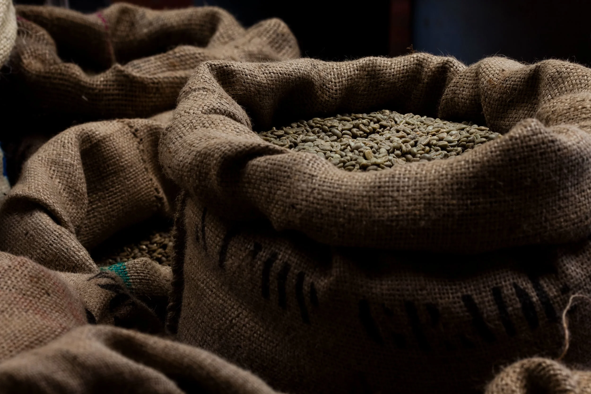 Encyclopedia Arabica: A Year in Coffee