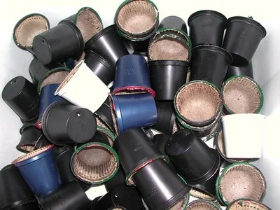 Single-Serve Coffee: Environmental Threat